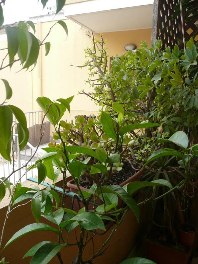 B&B La Casetta Quartu SantʼElena Extérieur photo